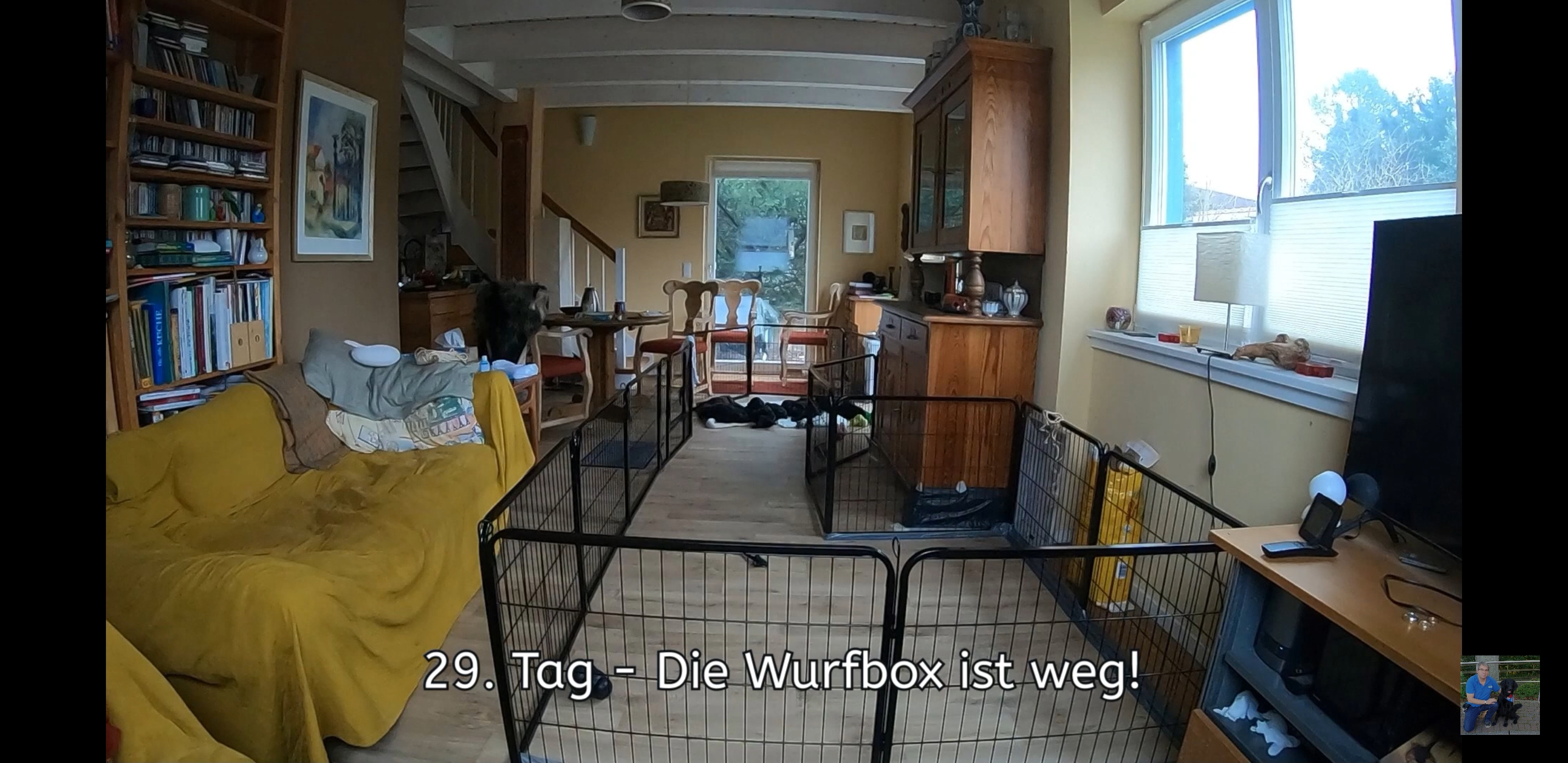 Screenshot_20230130-060337_YouTube.jpg